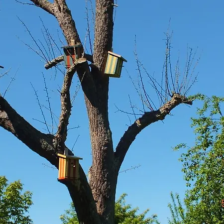 בית נופש Rotes Haus