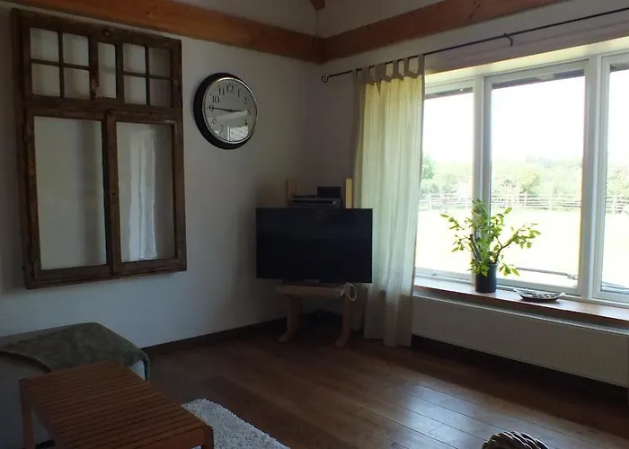 Rotes Haus 度假居 Brook