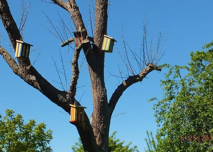 度假居 Rotes Haus